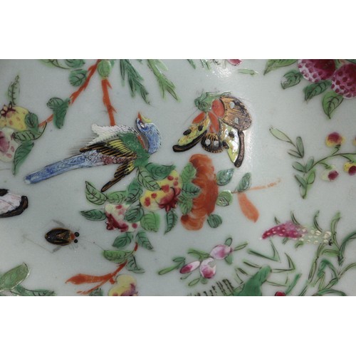 91 - Ten assorted Chinese celadon glazed plates with flower, bird and insect decoration, 7