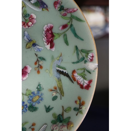 91 - Ten assorted Chinese celadon glazed plates with flower, bird and insect decoration, 7