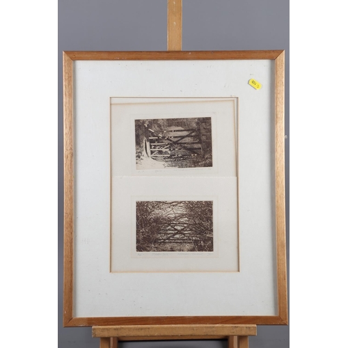 362 - Rosemary Pettet: a limited edition etching, 