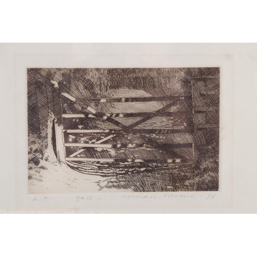 362 - Rosemary Pettet: a limited edition etching, 