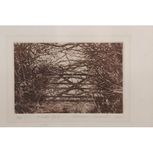 362 - Rosemary Pettet: a limited edition etching, 