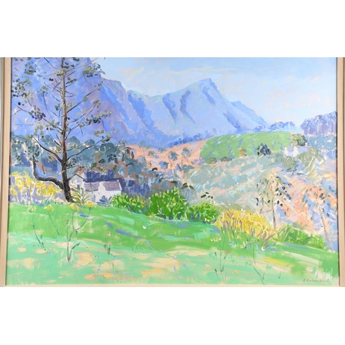 426 - E Carleton-Smith: acrylics on canvas, South African landscape with mountains, 29 1/2