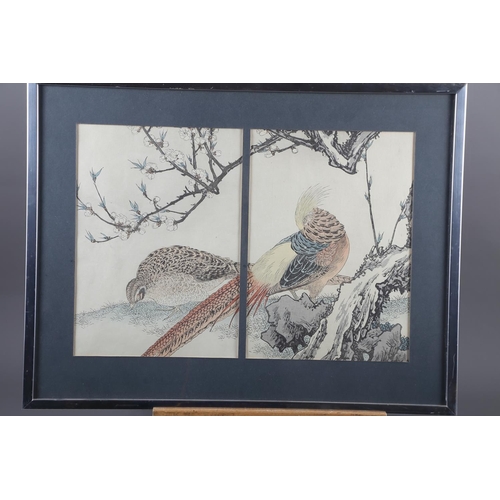 455 - A pair of Japanese woodblock prints, two pheasants, in common frame