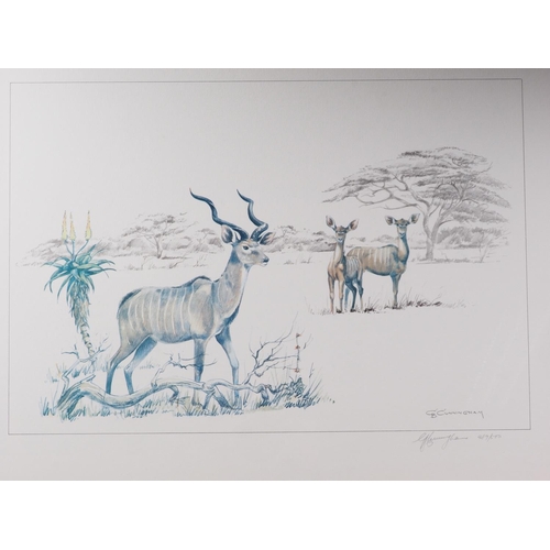 437 - Gordon Cunningham: three prints, studies of South African antelope, in gilt and wooden strip frames