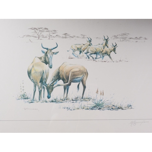 437 - Gordon Cunningham: three prints, studies of South African antelope, in gilt and wooden strip frames