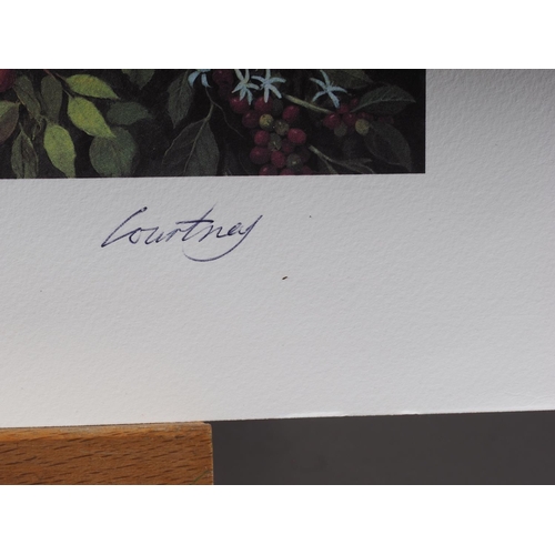 442 - Jeffery Courtney: a signed print of two birds in a fruit tree, 