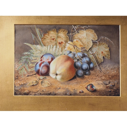 473 - A B Smyth: watercolours, still life with fruit, 7