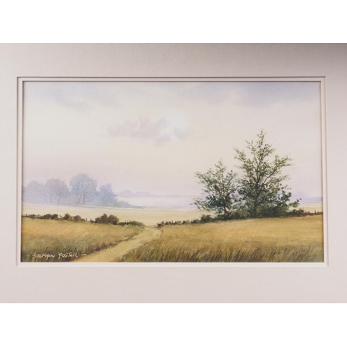 496 - Stephen Foster: three watercolour studies, landscapes, 8