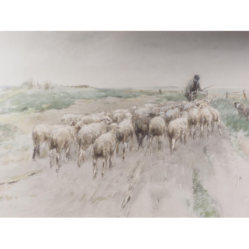 501 - George Taylor: watercolours, shepherd with sheep and sheep dog, 19 1/2