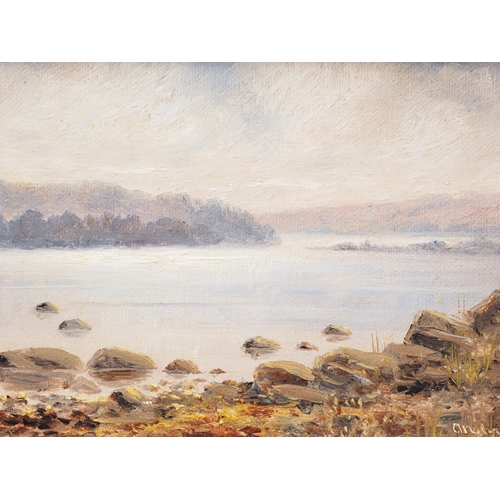 527 - Andersen: early 20th century Danish school: oil on board, coastal landscape with distant island, 4 1... 