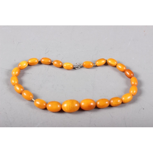 395 - A butterscotch amber? graduated beaded necklace, 15 1/2