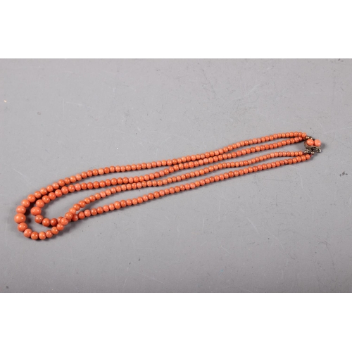 404 - A red coral two-strand necklace with white metal clasp, 17 1/4