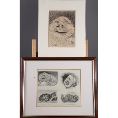 441 - A Louis Wain print, 