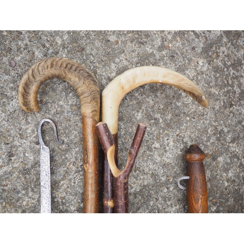 153 - A hardwood and bone handled shepherd's crook, another similar, walking sticks, a cast iron stick sta... 