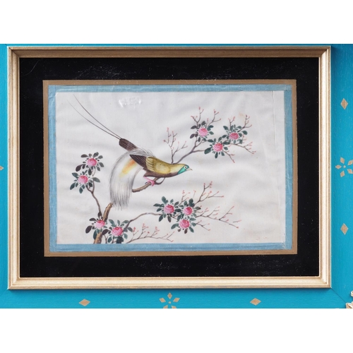 101 - A 19th century Chinese watercolour on pith paper, bird in flowering tree, in painted frame