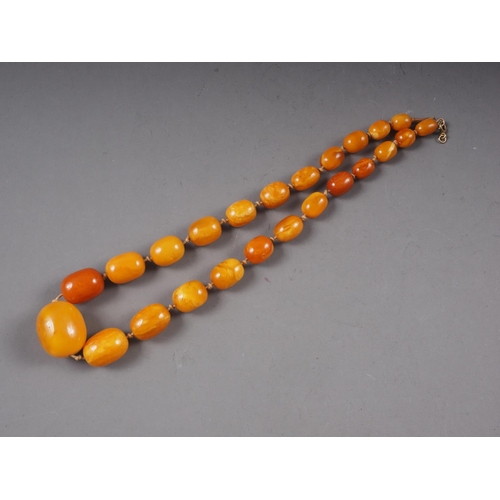 367 - An Art Deco butterscotch/egg yolk amber graduated bead necklace, the largest oval bead 19mm wide, to... 