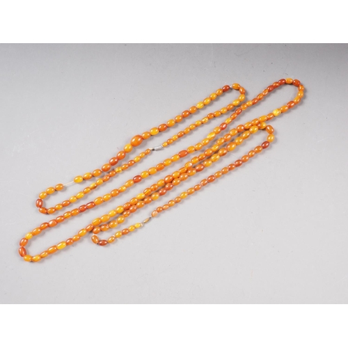 370 - Three butterscotch/egg yolk amber bead necklaces, total weight 51.7g