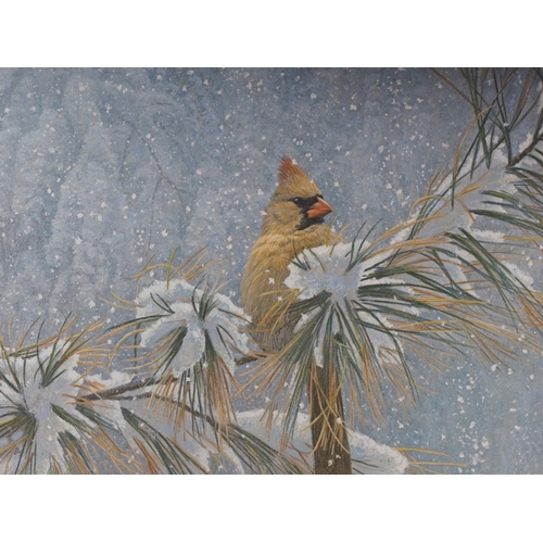 482 - Robert Bateman: two signed limited edition colour prints, 