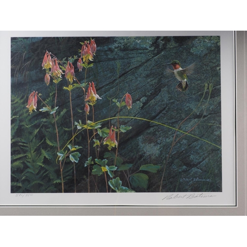 482 - Robert Bateman: two signed limited edition colour prints, 