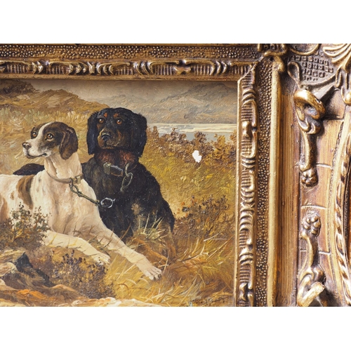 533 - A modern oil on board, sporting dogs, 4 1/2