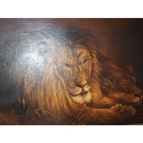 522 - C I: oil on canvas, lion and lioness, 19 3/4