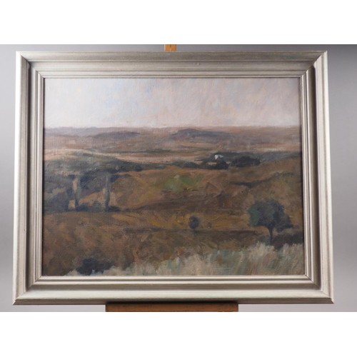 539 - A late 20th century oil on canvas, Continental landscape, 19