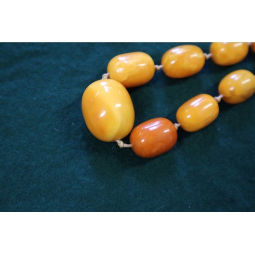 367 - An Art Deco butterscotch/egg yolk amber graduated bead necklace, the largest oval bead 19mm wide, to... 