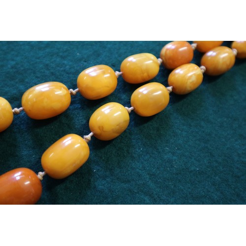 367 - An Art Deco butterscotch/egg yolk amber graduated bead necklace, the largest oval bead 19mm wide, to... 