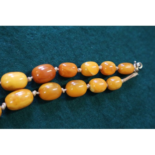 367 - An Art Deco butterscotch/egg yolk amber graduated bead necklace, the largest oval bead 19mm wide, to... 