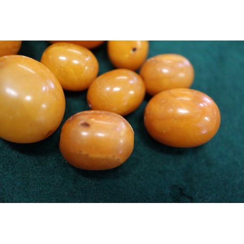 364 - A number of loose butterscotch/egg yolk amber beads, the largest oval bead 16mm wide, and a number o... 