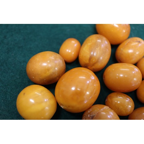 364 - A number of loose butterscotch/egg yolk amber beads, the largest oval bead 16mm wide, and a number o... 