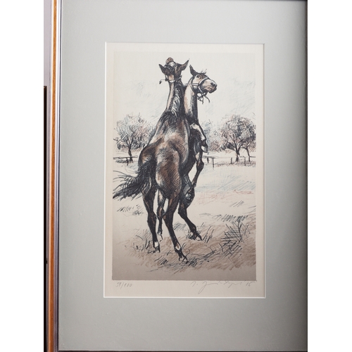 431 - Ivana Jurna-Lipska: a set of three signed limited edition colour prints, racehorses, in ebonised str... 