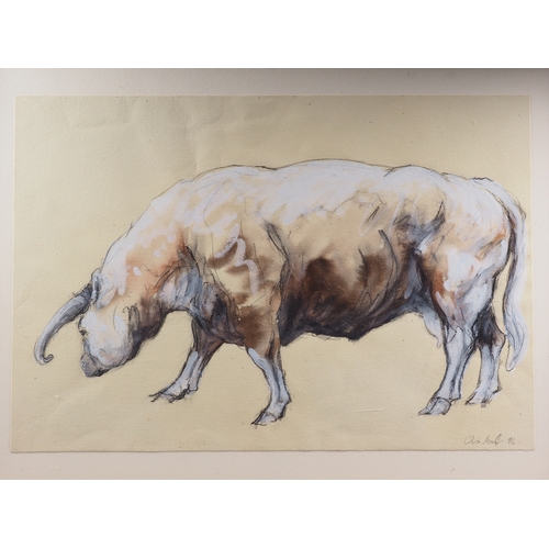 452 - Chris Gough?, '96: a pencil and bodycolour sketch of a longhorn cow, 14 3/4