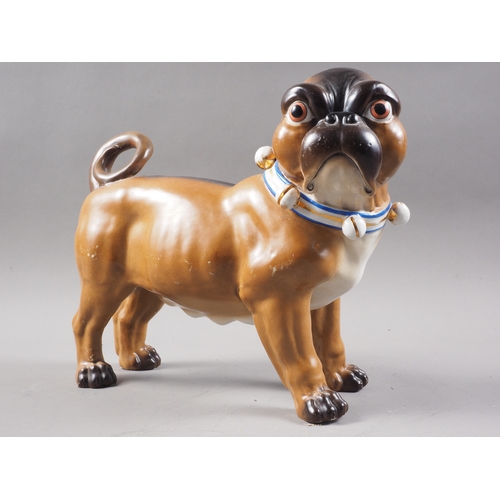 9 - An early 20th century Continental porcelain model of a pug, 9 1/2