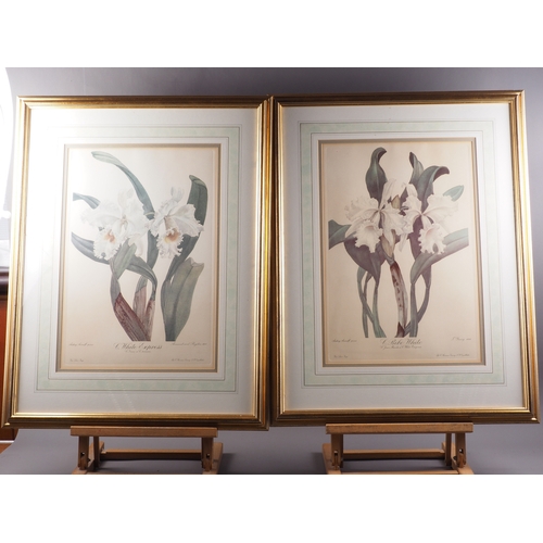 333 - A pair of botanical prints, orchids, in wash line mount and gilt frames, two 19th century colour pri... 