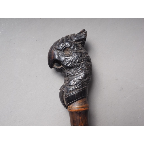 110 - A 19th century carved ebony parrot head parasol handle with bamboo stem, 12