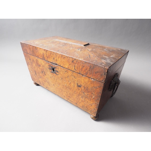 118 - An early Victorian burr yew tea caddy with ring handles, the interior fitted with two compartments a... 