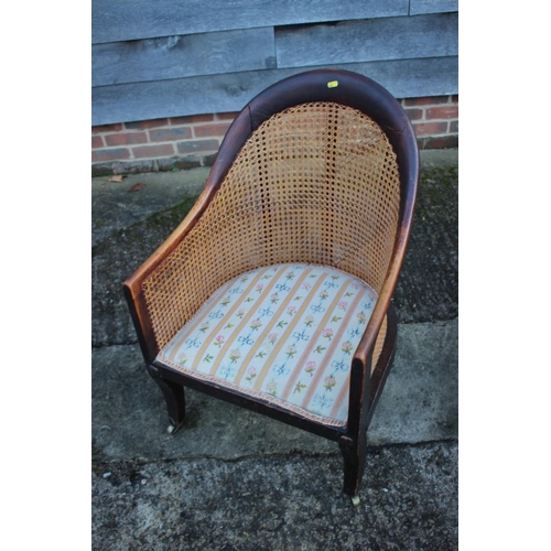 411 - A 19th century polished as walnut cane back tub-shape chair with needlepoint seat, on sabre supports