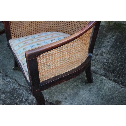 411 - A 19th century polished as walnut cane back tub-shape chair with needlepoint seat, on sabre supports