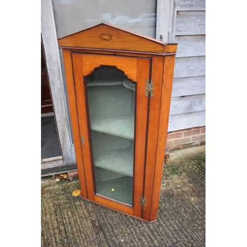 561 - An Edwardian satinwood box, ebony line inlaid and shell paterae cornice corner cupboard enclosed oge... 