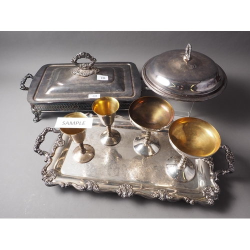 248 - A silver plated two-handled tray, a plated dish stand, a collection of plated champagne flutes and o... 