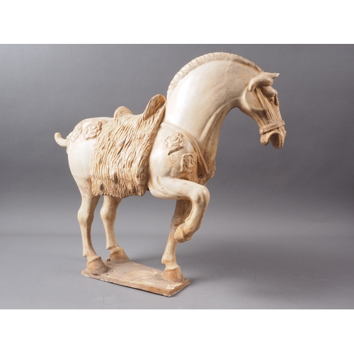 63 - A glazed model of a Tang horse, 15