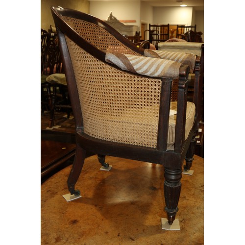 280 - A 19th century mahogany tub chair with caned seat and back, on reeded supports (seat damaged)