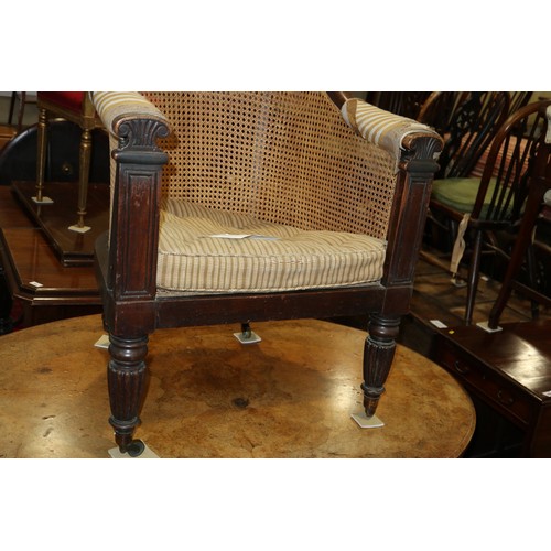 280 - A 19th century mahogany tub chair with caned seat and back, on reeded supports (seat damaged)