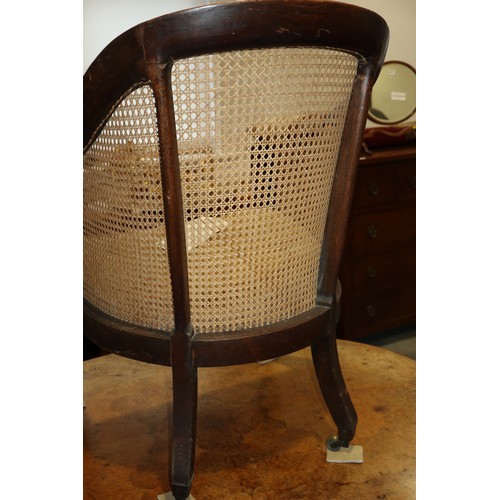 280 - A 19th century mahogany tub chair with caned seat and back, on reeded supports (seat damaged)