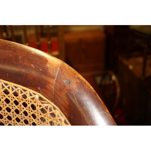 280 - A 19th century mahogany tub chair with caned seat and back, on reeded supports (seat damaged)