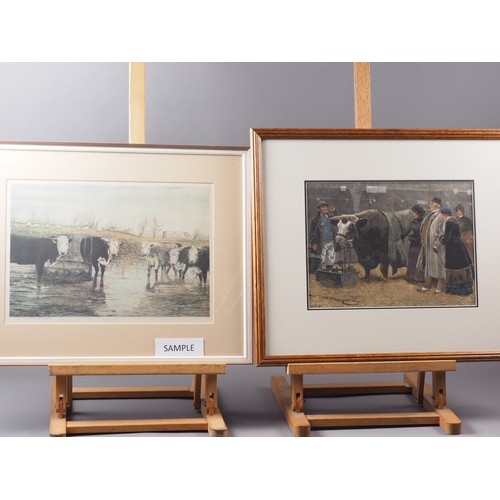 204 - Williamson: a colour print, cattle in a field, and a 19th century engraving, 