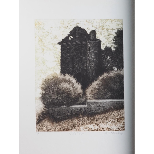 415 - Catherine Grubb: a signed limited edition etching 