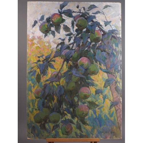 486 - A Russian oil on board, apple tree study, 31