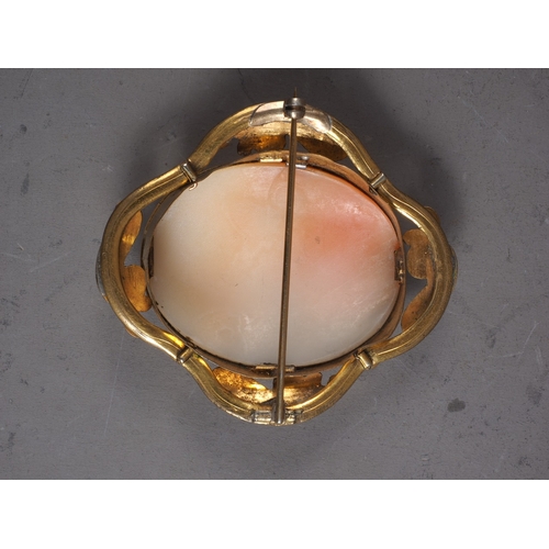 341 - A carved shell cameo brooch, in yellow metal frame